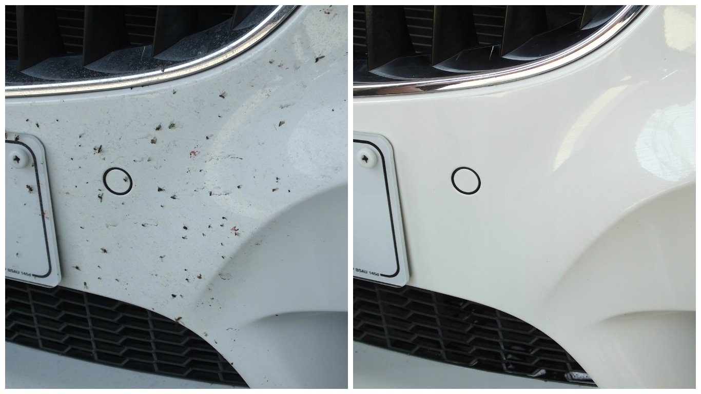 Paint Correction